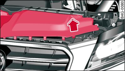 Engine compartment: Trim panel (pulled up) and attachment points